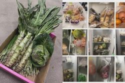 Trở về nhà từ tâm dịch COVID-19, gia đình bật khóc vì hành động này của hàng xóm