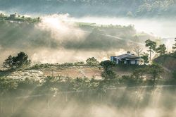Người đi săn nắng nơi thành phố sương mờ Đà Lạt