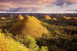 Ngọn đồi chocolate hút khách du lịch ở Philippines