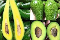 Nhìn đúng điểm này để phân biệt bơ chín cây và bơ ngâm hóa chất