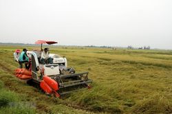 Nông dân Quảng Bình thiệt hại hàng chục tỷ đồng do mưa lớn và gió mạnh