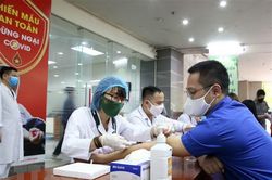 Kêu gọi hiến tiểu cầu nhóm máu hiếm AB- cho bệnh nhân người Bắc Giang