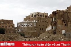 Thúc đẩy 'ngừng bắn nhân đạo' đối với các cuộc xung đột trên toàn cầu