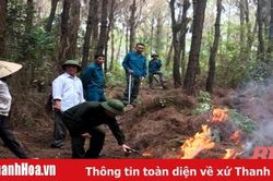 Hạt Kiểm lâm liên huyện Hà Trung chủ động bảo vệ rừng, phòng cháy, chữa cháy rừng