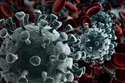 Phát hiện mới về biến thể áp đảo nhất của virus corona trên toàn cầu