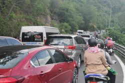 Dòng người đổ xô lên Đà Lạt, kẹt xe nhiều giờ trên đèo Bảo Lộc