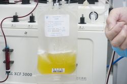 Nga phát triển kỹ thuật phát hiện kháng thể COVID-19 trong huyết tương