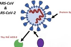 Thách thức âm tính giả trong xét nghiệm SARS-CoV-2