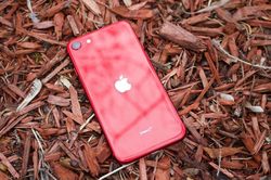 Điều giúp iPhone SE 2020 rẻ, camera đơn vẫn chụp đẹp