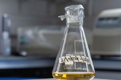 Anh tiến hành thử nghiệm vaccine Covid-19 trên người