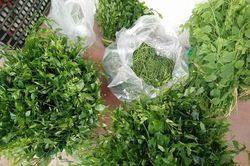 Kỳ lạ loại rau có giá đắt hơn thịt ở Việt Nam
