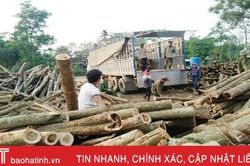 Nghề 'phu keo' ở Hà Tĩnh: Vất vả nhưng thu nhập khá