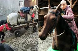 Đây là sự thật cảnh cưỡi ngựa trong phim Hoa Ngữ: Triệu Lệ Dĩnh ngượng ngùng trước ống kính, Chu Nhất Long bị nhiều người đẩy đi