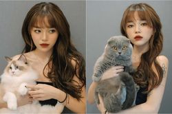 Linh Ngọc Đàm khiến dân mạng 'ngã ngửa' khi 'bóc' giá 'dàn boss' cực xinh xắn