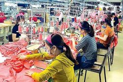 Niềm tin vào quyết sách lớn