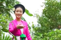 Ca cảnh chèo chống dịch COVID-19 của học sinh Thái Bình