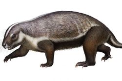 Hình dạng quái dị của loài 'thú điên' 66 triệu năm tuổi