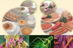 Cần làm gì khi nhiễm khuẩn, nhiễm độc thức ăn?