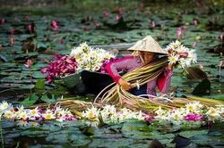 Cuộc thi viết Trà sữa cho tâm hồn: Một cô gái Bắc đã phải lòng miền Tây