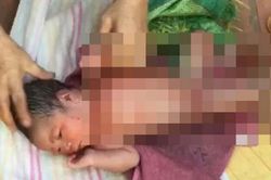 Bé gái còn nguyên dây rốn khóc đau đớn trong nghĩa địa