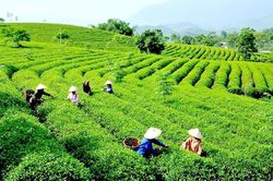 Vẻ đẹp bình dị của người lao động trong thi ca