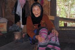 Vợ quan Tri phủ cuối cùng ở Tương Dương