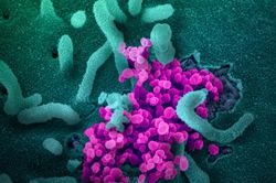 Lợi ích khi virus nCoV đột biến gen