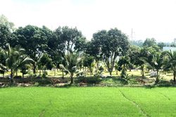 Những thanh âm thân thuộc