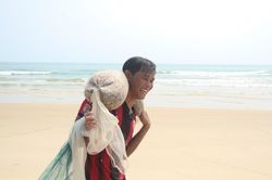 Ngư dân vùng bãi ngang Quảng Trị được mùa ốc ruốc