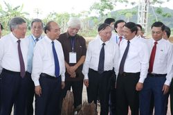 Hải Phòng: Khởi công Dự án khu bảo tồn bãi cọc Cao Quỳ