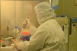 Việt Nam đã thử nghiệm vaccine phòng COVID-19 trên động vật