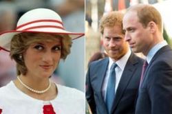 Tiết lộ gây sốc về quá khứ của Công nương Diana khiến William và Harry đau khổ