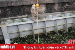 Giải pháp chống hạn, xâm nhập mặn bảo đảm sản xuất nông nghiệp