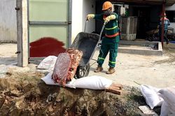 Tiêu hủy 72 tấn nội tạng không rõ nguồn gốc