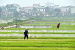 Xuất hiện nắng nóng gay gắt trên diện rộng