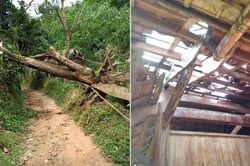 Mưa lớn, lốc xoáy làm tốc mái hàng chục nhà dân ở vùng cao Nghệ An