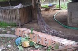 Nằm nghỉ trưa trên võng, nam thanh niên bị cột gạch đổ đè tử vong