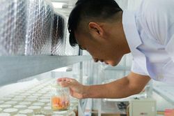 Thanh Hóa: Cận cảnh mô hình nuôi đông trùng hạ thảo của chàng kỹ sư trẻ