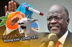 Dê và đu đủ 'dương tính' COVID-19, Tanzania nghi máy xét nghiệm rởm
