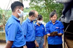 Giấc mơ Nông nghiệp xanh