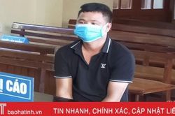 Nhận vận chuyển thuê gấu ngựa từ Hà Tĩnh ra Nghệ An 'được' 12 tháng tù giam
