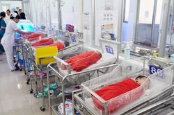 Khuyến khích nam, nữ kết hôn trước 30 tuổi và sớm sinh con