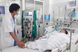 Vào rẫy hái nấm vừa mọc sau mưa để ăn, 3 người trong gia đình nguy kịch