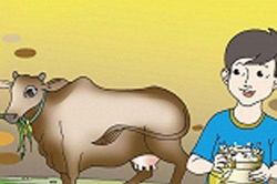 Bài học về con bò và triết lý dám nghĩ dám làm trong cuộc sống