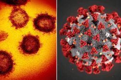 Phát hiện đột biến mới của virus SARS-COV-2 dễ lây lan hơn, gây khó khăn cho quá trình tìm vaccine