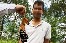Phạt hành chính 10 triệu đồng người bắn chim đầu rìu tại hồ Tuyền Lâm