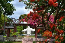 Tháng 5, viếng thăm khu vườn của cụ thân sinh Chủ tịch Hồ Chí Minh
