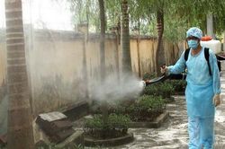 Chớm hè, nên cảnh giác với sốt xuất huyết