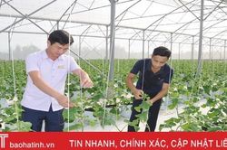 Hà Tĩnh ứng dụng công nghệ IoT vào sản xuất dưa lưới trong nhà màng
