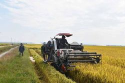 Phú Thiện: Nâng tầm sản xuất nông nghiệp